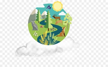 Biodiversity, Ecosystem, Convention On Biological Diversity, Green, Yellow PNG