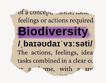 Biodiversity ripped dictionary, editable word | Free PSD - rawpixel