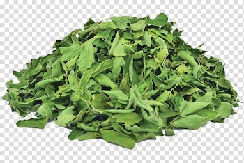Biofach Germany Organic food Vegetarian cuisine Herb Leaf vegetable, organic transparent background PNG clipart