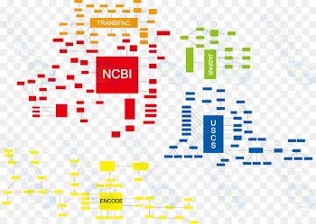 Bioinformatics Biology Science Research Information - agree infographic 