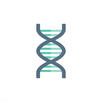 Biology care chromosome | Free stock vector - 396659
