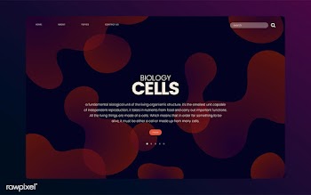Biology cells informational website graphic | Free stock vector - 458367