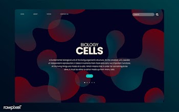 Biology cells informational website graphic | Free stock vector - 458405