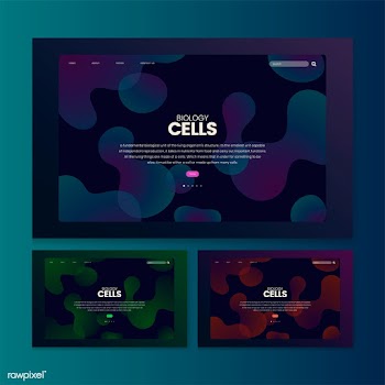 Biology cells informational website graphic | Free stock vector - 458422