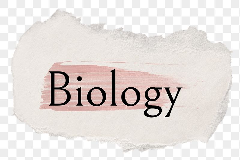 Biology png ripped paper word | Free PNG - rawpixel