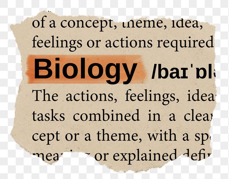 Biology png word sticker, torn | Free PNG - rawpixel