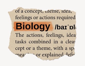 Biology ripped dictionary, editable word | Free PSD - rawpixel