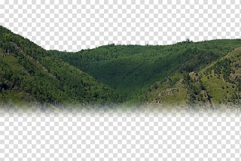 Biome Nature reserve Vegetation Wilderness Plant community, herbe transparent background PNG clipart