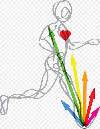 Biomechanics, Rimkus Consulting Group, Science, Line, Plant PNG