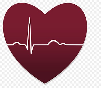 Biomedical engineering Health technology in the United States Technician Competence Physician - wieslawa kaminski 