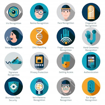 Biometric authentication icons