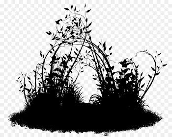 Bioparque La Reserva Plants Pine Amusement park Blog -  