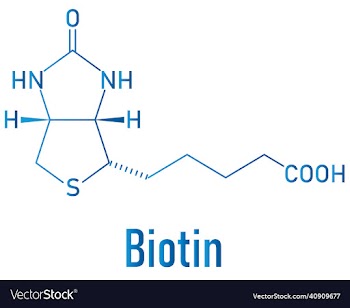 biotin or vitamin b7 molecule skeletal formula