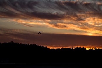 biplane on air above silhouette of trees during golden hour