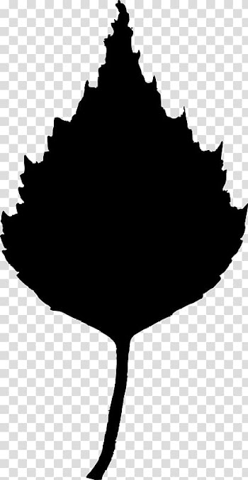 Birch Leaf Tree , Leaf silhouette transparent background PNG clipart