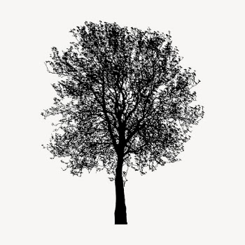 Birch tree silhouette clipart, nature | Free Vector - rawpixel