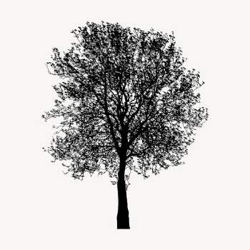 Birch tree silhouette collage element, | Free PSD - rawpixel
