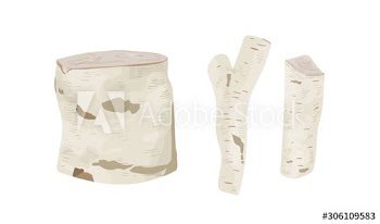 Birch tree stumps and logs vector illustrations set