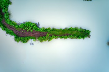 Bird's-eye Photography of Island