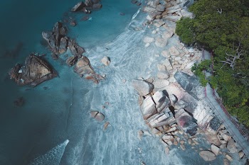 Bird's Eye Photography of Island and Trees