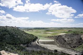 Bird's Eye Photography of Land