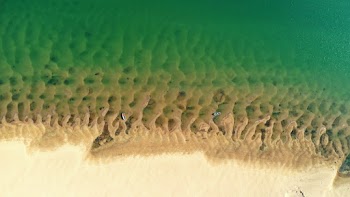 Bird's-eye Photography of Shore and Body of Water