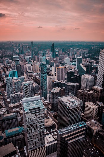 Bird's Eye View of a City