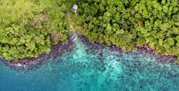 Bird's Eye View of a Seashore