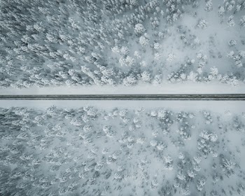Bird's Eye View of an Icy Road and Snow Covered Trees