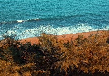 Bird's Eye View of Beach