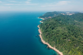 Bird's Eye View Of Beach