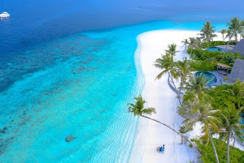 Bird's Eye View Of Beach During Daytime