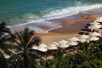 Bird's Eye View Of Beach During Daytime
