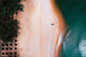 Bird's Eye View of Boat on Seashore