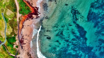 Bird's-eye View of Body of Water and Seashore