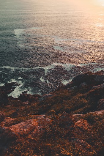 Bird's Eye View of Cove