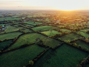 Bird's Eye View Of Cropland During Dawn