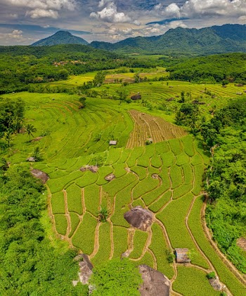 Bird's Eye View Of Farmland During Daytime