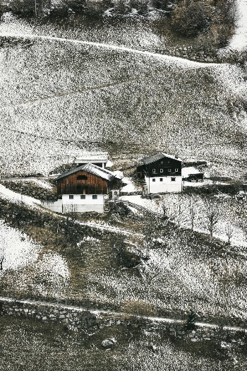 Bird's Eye View of Houses