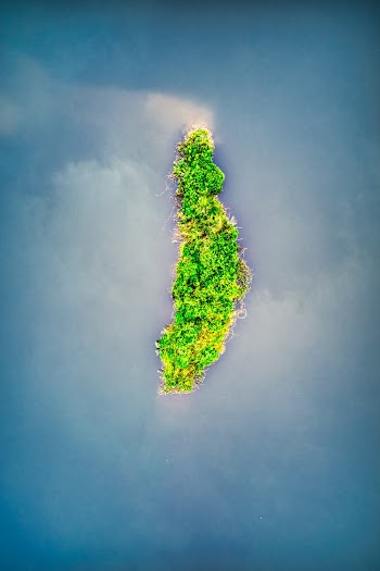 Bird's Eye View of Island