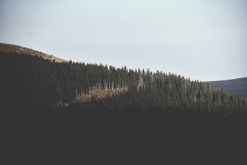 Bird's Eye View Of Mountain During Daytime
