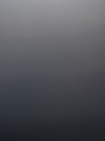 Bird's Eye View Of Ocean
