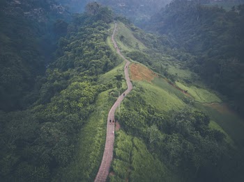 Bird's Eye View Of Path