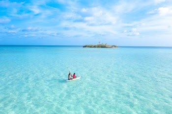 Bird's Eye View Of People Rowing Boat