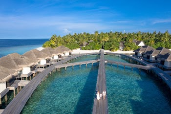 Bird's Eye View Of People Walking On Bridge