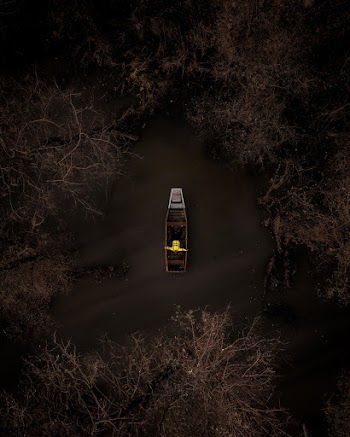 Bird's Eye View Of Person On Boat
