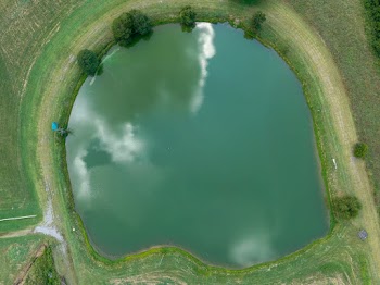 Bird's Eye View Of Pond During Daytime