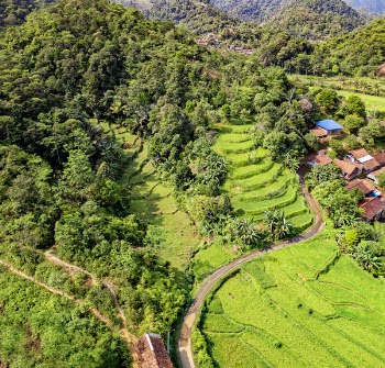 Bird's Eye View of Rice Terraces