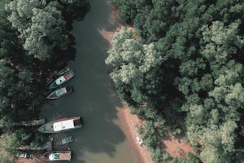 Bird's Eye View Of River