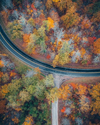 Bird's Eye View Of Road During Daytime 